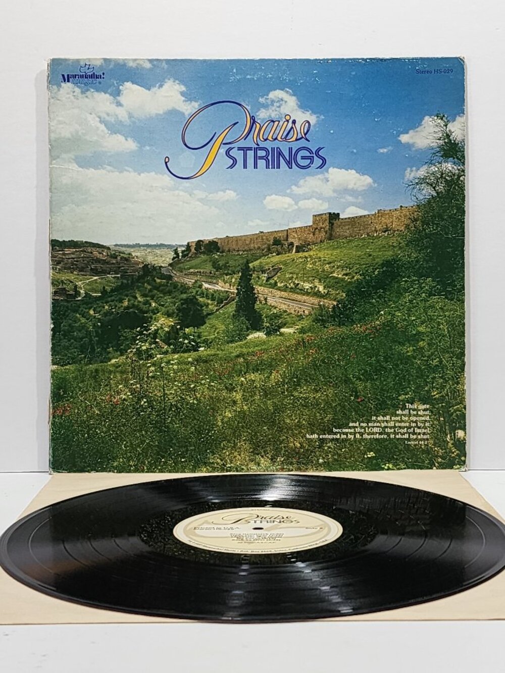 Praise Strings by Maranatha! Music Album 1977 HS-029 Vinyl LP RARE DIS